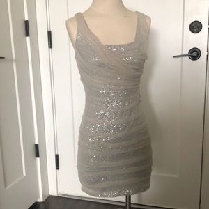 NWT Express Mini Bodycon Silver Sequin, Grey and Neutral Dress